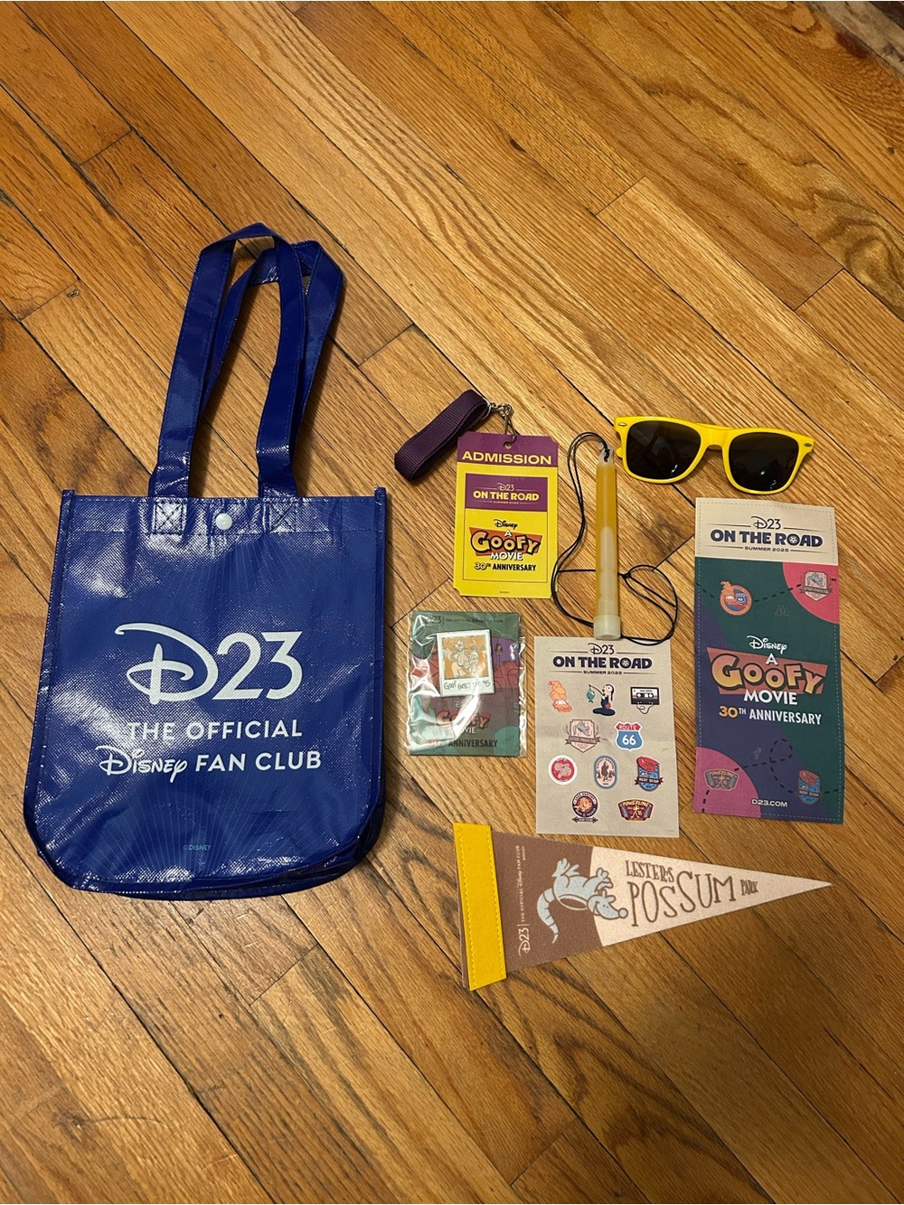 Disney Green and Navy 'A Goofy Movie' 30th Anniversary On The Road Brochure